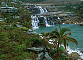 Coastal waterfall, Mkambati Nature Reserve, South Africa