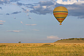 Hot air balloon flying over impala herd, Masai Mara Triangle, Kenya