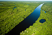 Rio Negro, Pantanal, Brazil