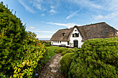 Thatched-roof house, Kampen, Sylt, Schleswig-Holstein, Germany