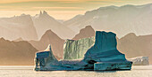 Sunset over Icebergs  Icebergs drifting in Scoresbysund, Sermersooq Municipality, Greenland