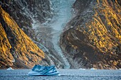 Icebergs, Scoresbysund, Greenland.