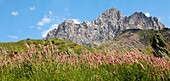 Foratata Peak, Sallent de Gallego, Huesca, Aragon, Spain