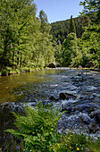 Oker, Okertal, Harz, Niedersachsen, Deutschland, Europa