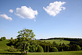 Landschaft bei Sankt Andreasberg, Harz, Niedersachsen, Deutschland, Europa