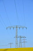 Electricity Pylon in a rapefield, Ruebeland, Harz, Saxony-Anhalt, Germany, Europe