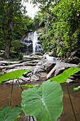 Wasserfall im Tropenwald, Bang Saphan, Provinz Prachuap Khiri Khan, Thailand, Asien