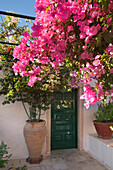 Blumenschmuck im Innenhof vom Kloster Panagia Theotokou, bei Paleokastritsa, Insel Korfu, Ionische Inseln, Griechenland