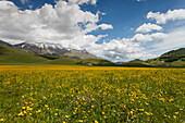 Piano Perduto, Hochebene, Wiesen im Frühling, Monte Vettore (2478m), Berg mit Schnee, Castelluccio, Dorf, Monti Sibillini, Sibillynische Berge, Apennin, Gebirge, bei Norcia, Provinz Perugia, Umbrien, Italien, Europa