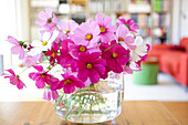 Bouquet of garden cosmos, Leipzig, Saxony, Germany