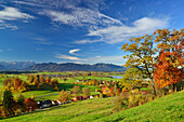 Lake Riegsee, Wetterstein range with Zugspitze and Ammergau range, lake Riegsee, Blaues Land, Bavarian foothills, Upper Bavaria, Bavaria, Germany