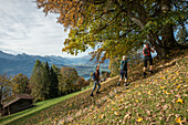 Wanderer unter einen Laubbaum, Thuner See und das Kandertal im Hintergrund, Beatenberg, Berner Oberland, Kanton Bern, Schweiz