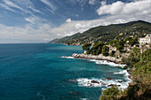 coastline, Camogli, province of Genua, Italian Riviera, Liguria, Italia