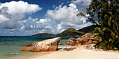 Palmenstrand, Anse Boudin, Praslin, Seychellen, Indischer Ozean