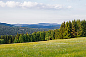 Landschaft in Sumava Nationalpark, Wiesen, Wälder, Böhmerwald, Tschechien