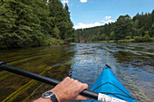 Canoe tour on the river Schwarzer Regen, Bavarian Forest, Bavaria, Germany