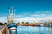 Krabbenkutter im Hafen, Büsum, Dithmarschen, Schleswig-Holstein, Deutschland