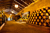 Wine cellars Quinta da Pacheca, Lamego, Duoro region, Northern Portugal, Portugal