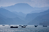 Dhows in the harbor and Musandam Peninsula mountain ranges, Khasab, Oman