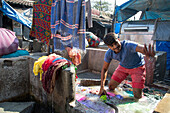 Man washing clothes at Mahalaxmi Dhobi Ghat open air laundromat, Mumbai, Maharashtra, India