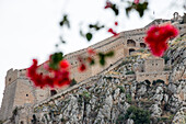 Palamidi Fortress seen through bougainvillea flowers, Nafplio, Nauplia, Peloponnese, Greece