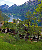 Blick über Gehöft von der, Adlerstraße, Örneveien, in den Geirangerfjord, Geiranger, Provinz Möre og Romsdal, Vestlandet, Norwegen, Europa