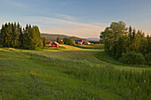 Rote Bauernhäuser bei Björnstad an der E6, Provinz Nord-Tröndelag, Nordland, Norwegen, Europa