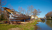 Restauration of the barge Miguel Caldentey by the Centre Permanent d' Initiatives pour l' Environnement, Canal de la Robine, Mandirac, Dept. Aude, Languedoc-Roussillon, France, Europe