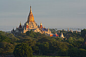 Morgendlicher Blick über das Pagodenfeld zur Ananda Pagode in Bagan, Pagan, Myanmar, Burma