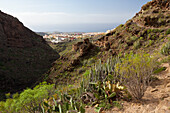 Barranco del Infierno, Adeje, Tenerife, Spain