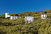 Sunbeds, Es Ram Resort, Formentera, Balearic Islands, Spain