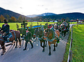 Leonhardiritt in Benediktbeuern, Landkreis Bad Tölz, Wolfratshausen, Oberbayern, Bayern, Deutschland