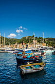 Fischerboote im Hafen, Portofino, Provinz Genua, Riviera di Levante, Ligurien, Italien