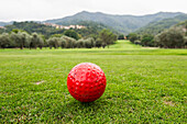 Golf ball on the golf course, province of Savona, Italian Riviera, Liguria, Italy