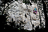 Frau klettert eine Felswand hinauf, Finale Ligure, Provinz Savona, Ligurien, Italien