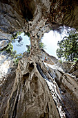 Man rock climbing, Finale Ligure, Province of Savona, Liguria, Italy