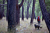 Woman and a dog hiking along long-distance footpath Lycian Way, Antalya, Turkey