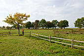 Weidelandschaft, Nationalpark Biebrza-Flusstal, Woiwodschaft Podlachien, Polen