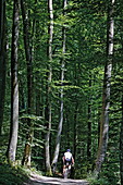 Biker on a trail along the river Isar near Harlaching, Munich, Upper Bavaria, Bavaria, Germany