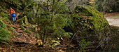 Couple hiking in the woods Big Sur, California, USA