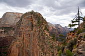 Hiker standing enjoys the view from Angel's Landing Trail, Zion National Park, Utah Zion National Park, Utah, USA