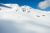 A group of skiers take a run down a large alpine bowl in the backcountry of the Selkirk Mountains, Canada British Columbia, Canada