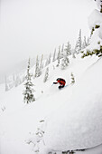 A backcountry skier skis down through the trees on a foggy day ID, USA