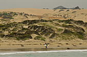A man in a wetsuit walks on a beach shore with a surfboard near Pichidangui, Chile Punta de Lobos, Pichilemu, Chile