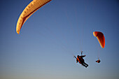 Two paragliders ride the wind at sunset over the ocean in California San Diego, California, USA