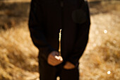 Man in black holds up a thin branch in a sunny, golden field at Yosemite National Park, California Yosemite National Park, California, USA