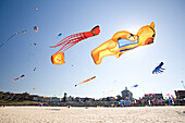 Large assorted kites over white sand beach Bondi Beach, Sydney, New South Wales, Australia