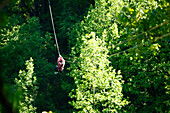 A woman zips through the forest canopy during a forest tour near Asheville, North Carolina Asheville, North Carolina, USA