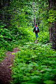 A young man walks along a trail in Glacier National Park, MT Montana, USA