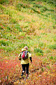 A woman trail runs through a colorful field on Mt. Timpanogos, near Pleasant Grove, UT Pleasant Grove, Utah, USA